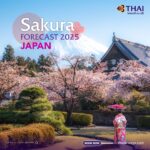 Tokyo Sakura Premium 8 วัน 7 คืน